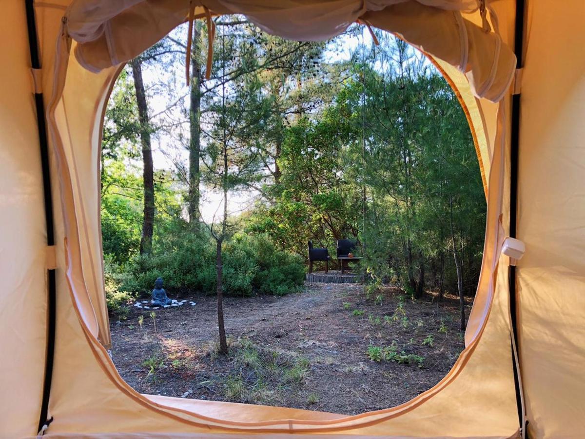 Vinsan Glamping & Wellness Centre Otel Eleousa Dış mekan fotoğraf