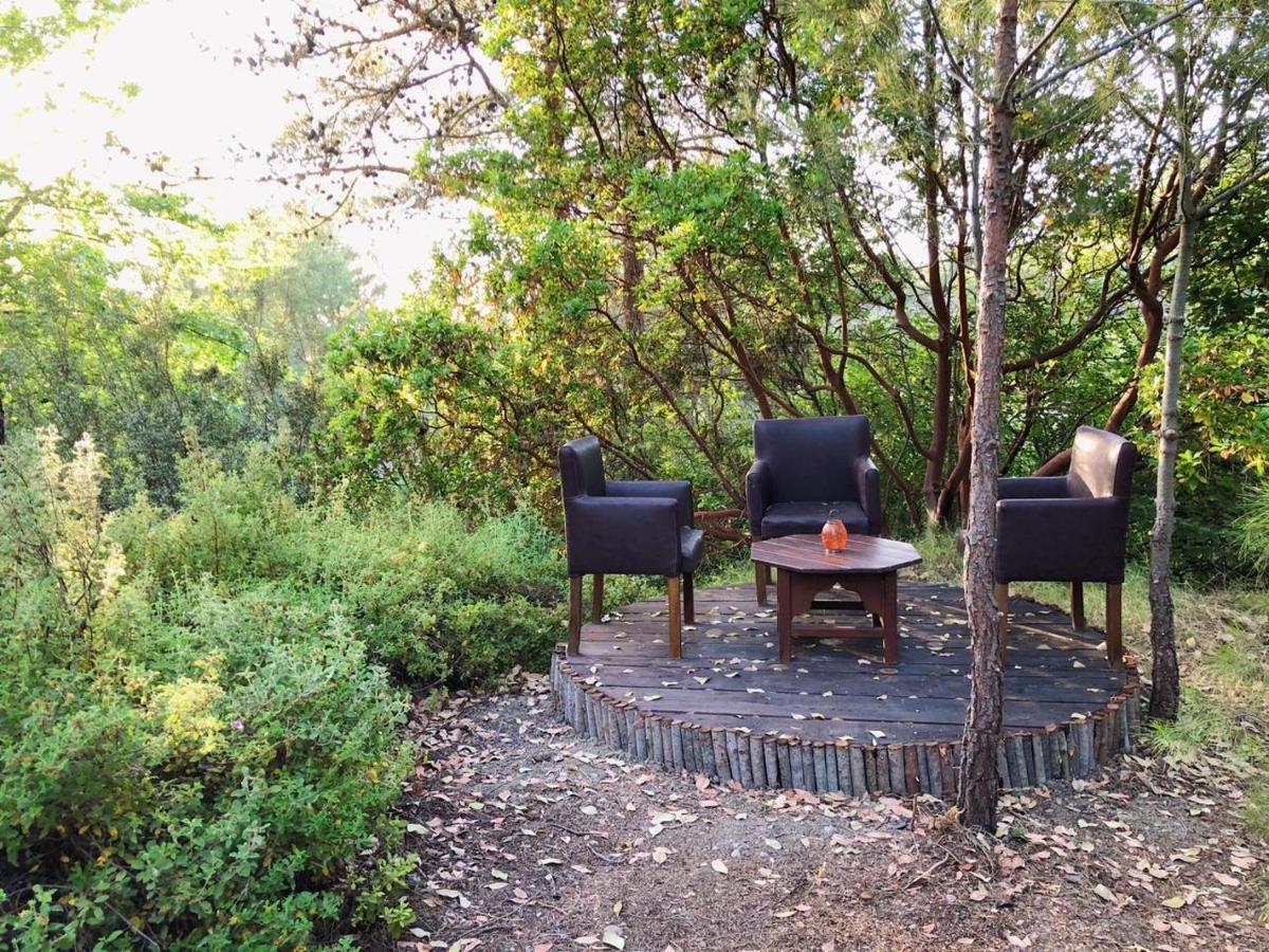 Vinsan Glamping & Wellness Centre Otel Eleousa Dış mekan fotoğraf