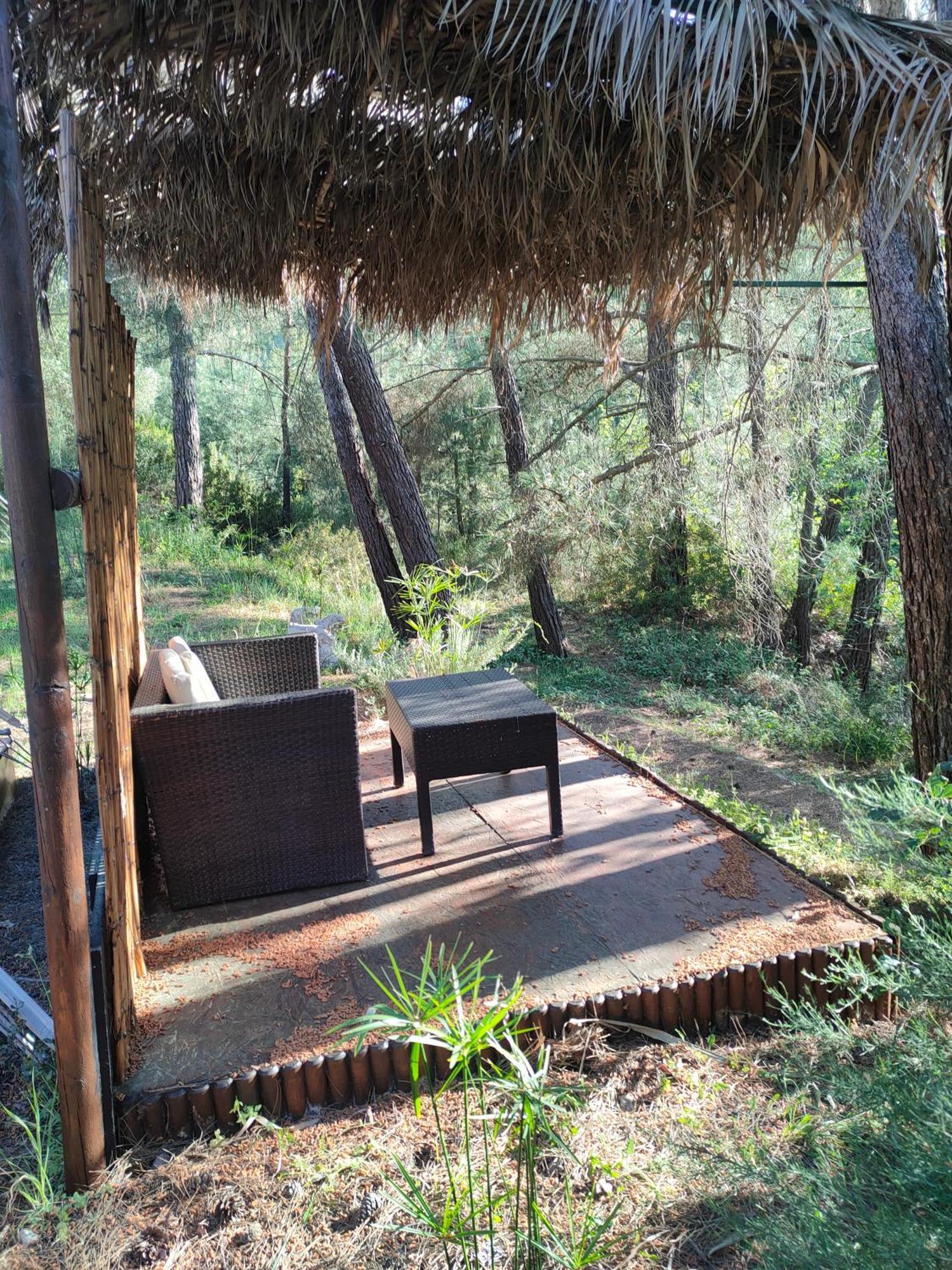 Vinsan Glamping & Wellness Centre Otel Eleousa Dış mekan fotoğraf